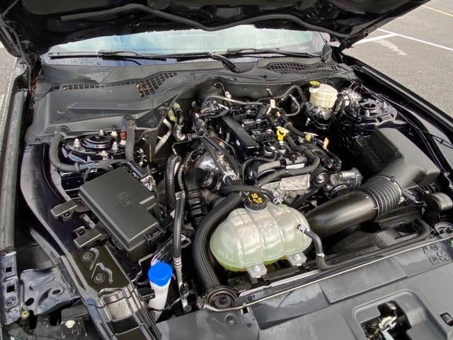 2021 Ford Mustang EcoBoost