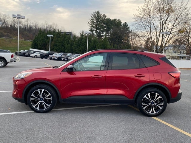 2021 Ford Escape SEL